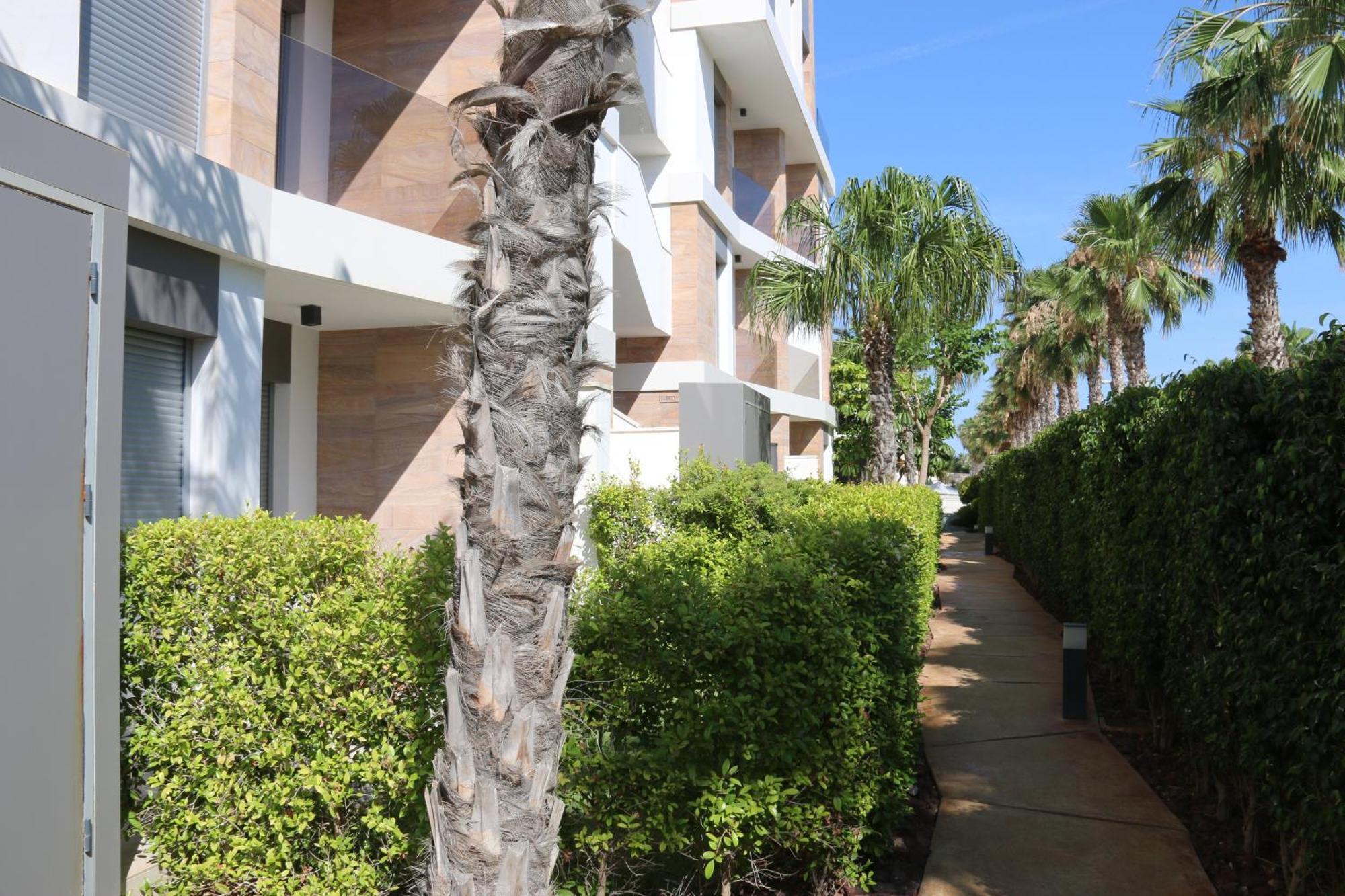 Luxusni Apartman Ve Spanelsku, Cabo Roig Orihuela Esterno foto